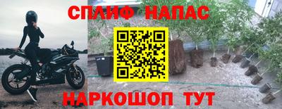 ПСИЛОЦИБИНОВЫЕ ГРИБЫ Будённовск