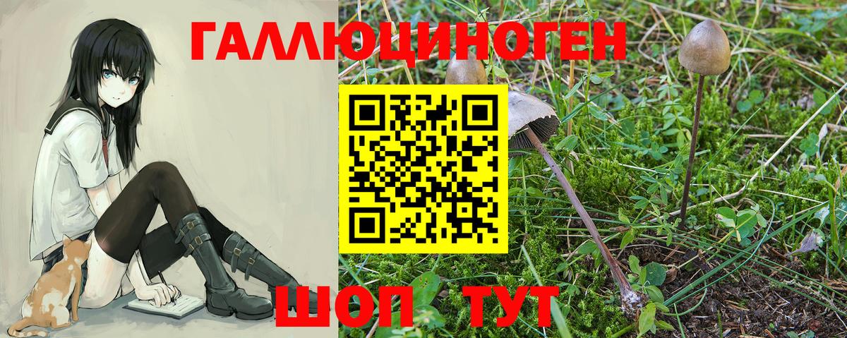 Галлюциногенные грибы прущие грибы Чебаркуль